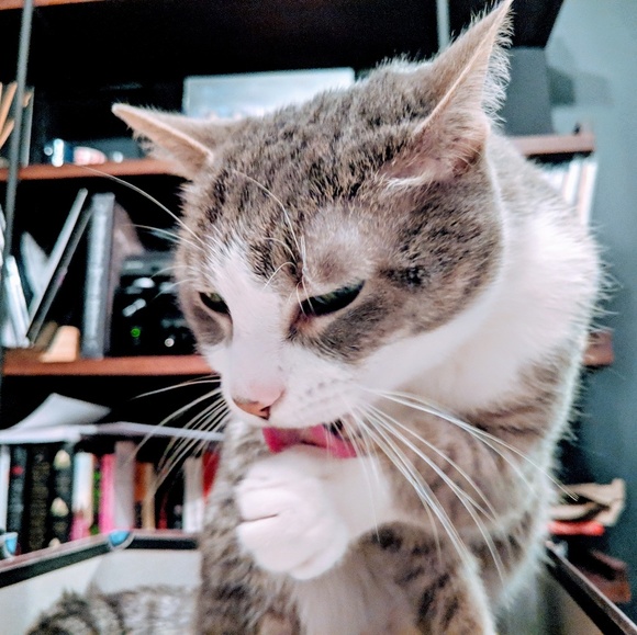 🌈❤CLOSING SHOP🌈❤GREAT DEALS🌈❤ - Picture 7 of 8